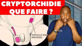 Cryptorchidietesticules en dehors des boursesCest lune des causes de linfertilité chez lhomme [upl. by Eirlav837]