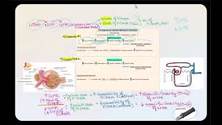 Lecture Video 3 Physiology of the Urinary System Part 2 [upl. by Asereht]