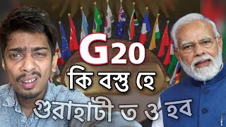 What is G20  গুৱাহাটী ত ও হব বোলে কিবা  Dimpu Baruah [upl. by Gardel267]