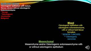 Epithelial Odontogenic Tumors [upl. by Doig]