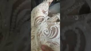 DIY Wedding Dress Gown Cleaning Clean Yourself Myself Bride Wedding Terri Foss [upl. by Carmita]