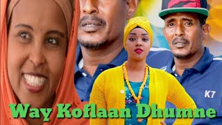 Comedy Afaan Oromoo Koflaan Garaa Nama Dhukkubsu SAFUU [upl. by Brigg]