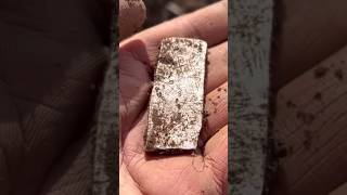 2000 YEAR OLD SILVER Metal detecting find of a LIFETIME [upl. by Cavuoto]