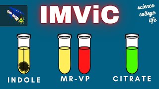 IMViC Test  Indole MRVP Citrate  Microbiology Lab [upl. by Kaliski]