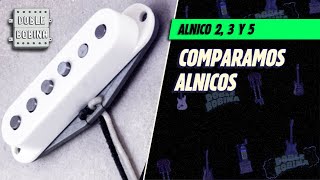 La guerra de los Alnicos comparamos Alnico 2 Alnico 3 y Alnico 5 GF Pickups [upl. by Meredeth]