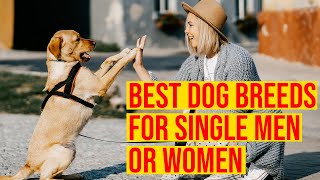 10 Best Dog Breeds For Single Men Or Women [upl. by Roxi]