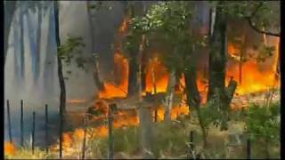 The 2009 Black Saturday Bushfires Australia [upl. by Maddalena]