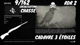 Tout Les Animaux 9162 Le Geai Bleu Localisation Red Dead Redemption 2 [upl. by Burley]