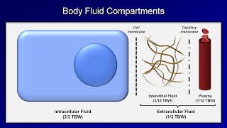 IV Fluids Lesson 1  Basic Principles [upl. by Nolahc]