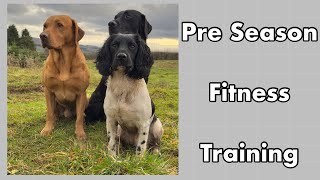 Pre Season Fitness Training [upl. by Aleetha]