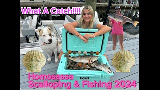 Scalloping amp Fishing Homosassa FL 2024 [upl. by Anahsek94]