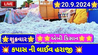 ગોંડલ કપાસના ભાવ Gondal kapas an bhav Gondal marketing yard  કપાસના બજાર ભાવ [upl. by Leavitt]