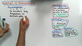 Introduction Of Homeostasis Class 12 Biology [upl. by Htide]