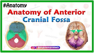 Anatomy of Anterior cranial Fossa [upl. by Rosalind]