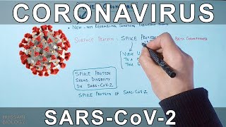 Coronavirus  SARS CoV2 [upl. by Eelegna683]