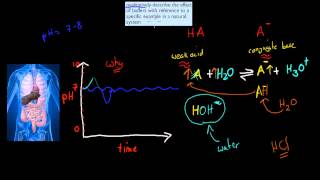 8 Natural buffer systems HSC chemistry [upl. by Sukin]