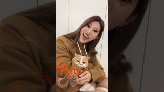 🐱媽媽逼我陪她拍抖音生無可戀shorts cat cutcat 寵物 ｜阿部瑪利亞 Maria Abe [upl. by Herriott]