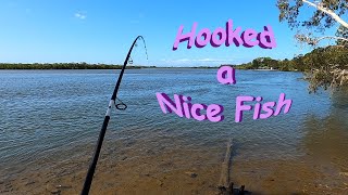 Quick session at Coombabah Creek Hooked onto a nice Fish [upl. by Elrod]