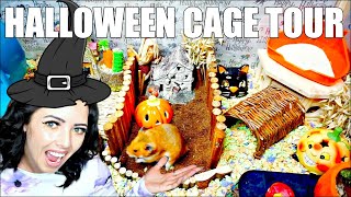 HALLOWEEN HAMSTER CAGE TOUR 🎃  PET CAGE TOUR [upl. by Hubing]