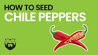 How to Cut amp Seed Chile Peppers [upl. by Nolad]