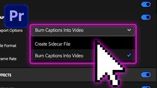 How to Fix Captions NOT SHOWING in Premiere Pro Tutorial [upl. by Winna]