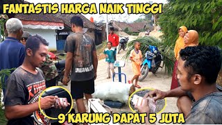 UPDATE HARGA PORANG HARI INI  9 KARUNG DAPAT 5 JUTA FANTASTIS [upl. by Seidnac]