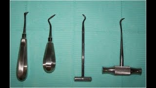 Dental Elevators Basics [upl. by Garmaise]