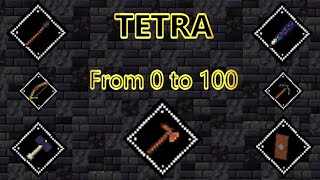 Tetra From 0 to 100 The Basics P1 Tutorial [upl. by Oinigih]