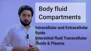 Countercurrent multiplication in the kidney  Renal system physiology  NCLEXRN  Khan Academy [upl. by Edrahs872]