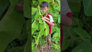 Cậu bé ăn lá  The boy eats leaves shorts [upl. by Luben]