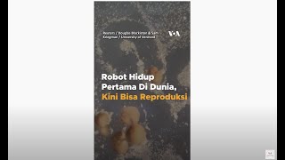 Robot Hidup Pertama Di Dunia Kini Bisa Reproduksi [upl. by Niak753]