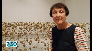 British artist Cornelia Parker talks about her work  730 [upl. by Christmann]