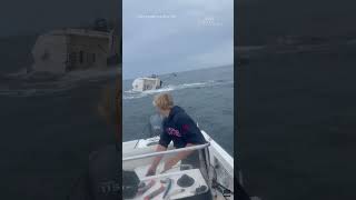 Breaching whale capsizes boat knocks mariners into water [upl. by Godliman]