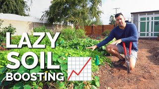 Cover Cropping The LAZIEST Way to Improve Your Soil [upl. by Ellehcrad856]