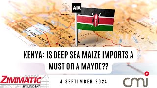 Kenya Is Deep Sea Maize Imports a MUST or a MAYBE  4 Sept 2024 [upl. by Evilo]