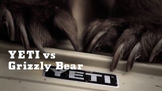 YETI vs Grizzly Bear  YETI Coolers [upl. by Amii10]