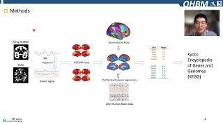 OHBM 2022  145  Talk  Pindong Chen  Altered global signal topography in Alzheimer’s disease co… [upl. by Eyaf]