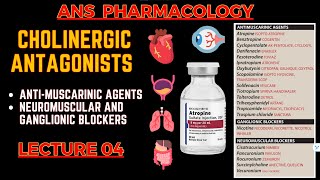 Cholinergic Antagonists  Parasympatholytics  Antimuscarinic Agents Neuromuscular blockers  L4 [upl. by Berta501]