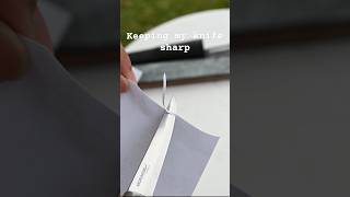 Will it cut Keeping my knife sharp by using a leather strop spooncarving asmr sharp knife [upl. by Lewellen]