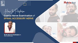 Cranial Nerve Examination  Spinal Accessory Nerve by Dr Apurva Chatterjee [upl. by Huntlee]