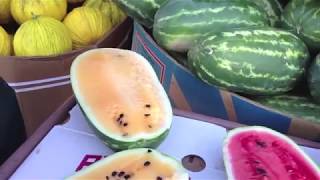 How to pick a watermelon [upl. by Eisler]