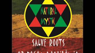 03  Natural Mystic  Fogo Na Babilônia  SALVE ROOTS [upl. by Ubald]