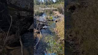 Bungendore River New South Wales  Winnier14Vlogs [upl. by Dlanger944]