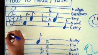 How to Read Music  Basics for Beginners  Music Theory Lesson [upl. by Timothy]