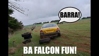 BA Falcon Paddock Basher [upl. by Ahsirk]