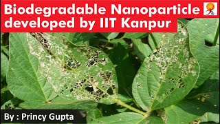 Biodegradable Nanoparticle developed by IIT Kanpur [upl. by Nadabb457]