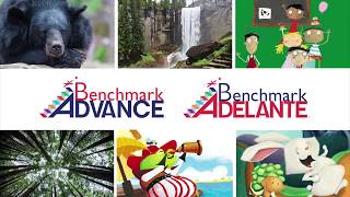 Benchmark Advance and Benchmark Adelante Overview [upl. by Ettie]