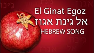 El Ginat Egoz  אל גינת אגוז  hebrew song traditional  Song of Songs  Hohelied [upl. by Lorine]