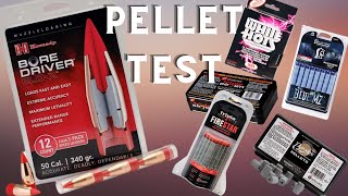 Hornady ELD X Pellets Test [upl. by Edrahs221]