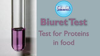 Protein Test or The biuret Test Test for Proteins in food [upl. by Adiari]